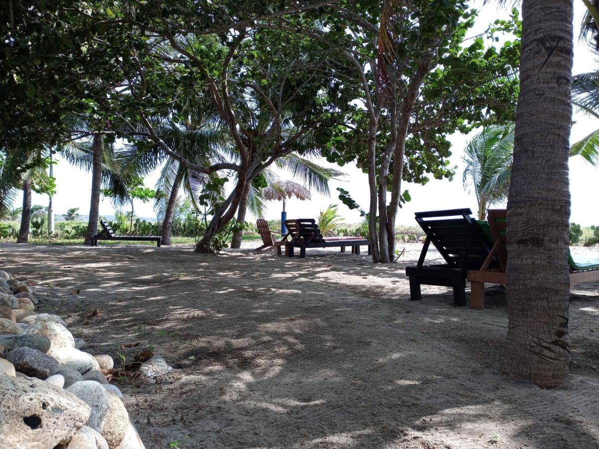 Casa Palma Beach House Brisas de Zicatela المظهر الخارجي الصورة