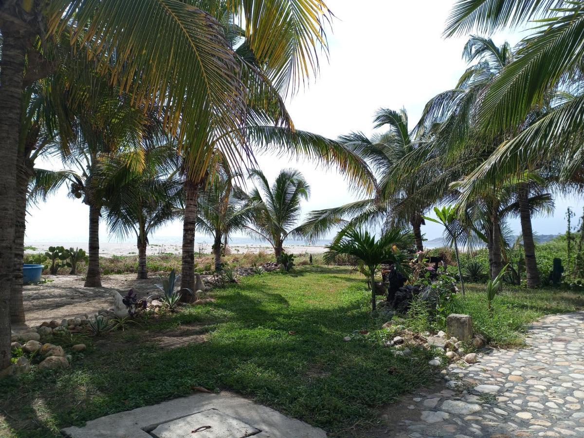 Casa Palma Beach House Brisas de Zicatela المظهر الخارجي الصورة